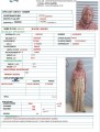 عمالة