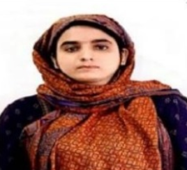 موقع الخدم