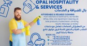 خدم مؤقت