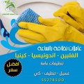 خدم مؤقت